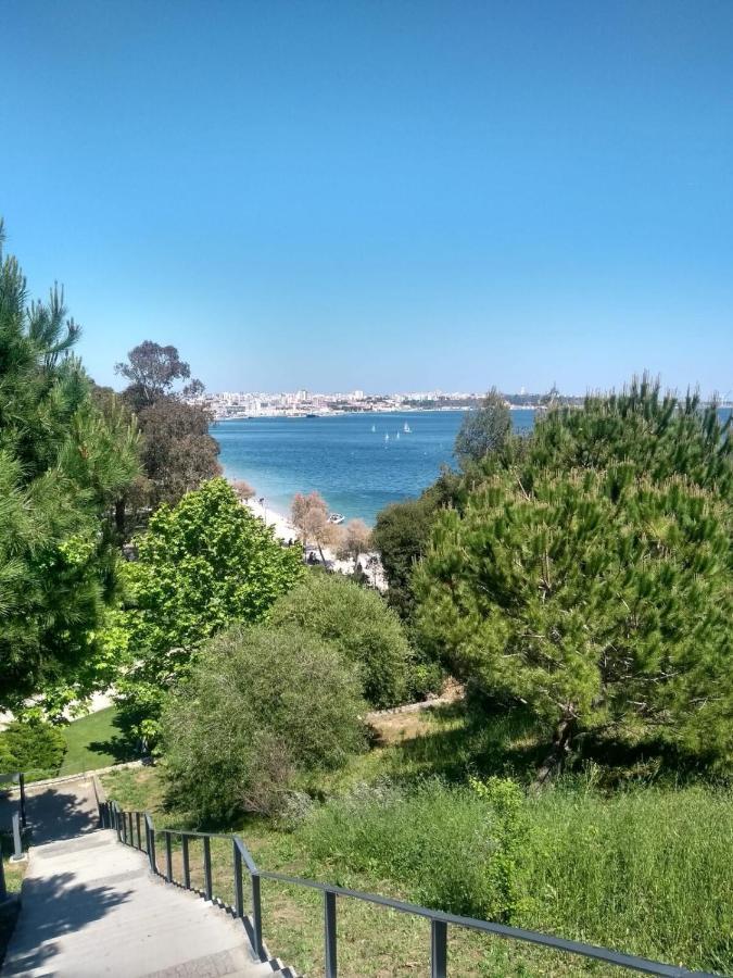 Setubal Downtown Todi I Lejlighed Eksteriør billede